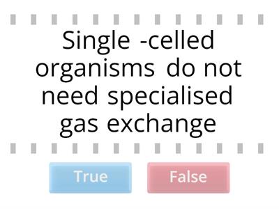 Gas Exchange 1 - True or False? 