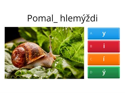 přídavná jmena měkký a tvrdý od dani