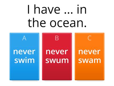  Never / Ever - present perfect