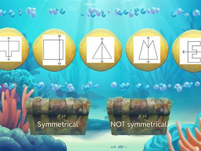 Ms. Hall Line of Symmetry