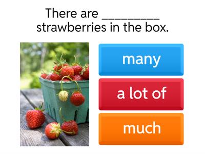 MUCH / MANY / A LOT OF