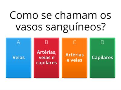 Quiz do Sistema Circulatório