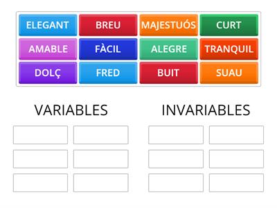 ADJECTIUS VARIABLES INVARIABLES