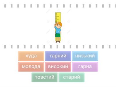 Зовнішність