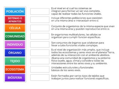 NIVELES DE ORGANIZACIÓN DE LA MATERIA