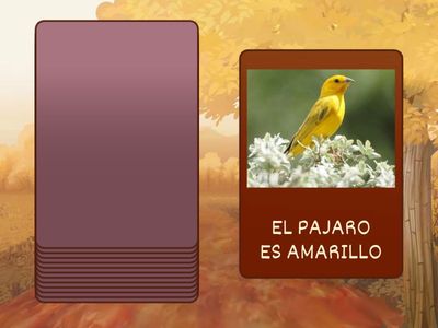 ORACIONES CON R SUAVE!