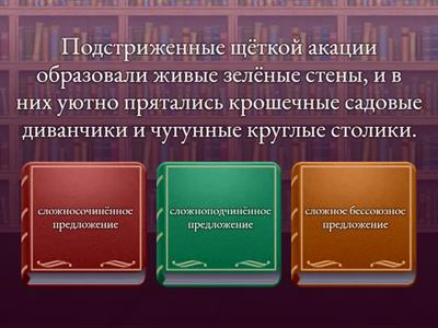 ССП, СПП или БСП?
