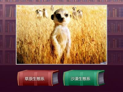 114學年度下學期自然測驗