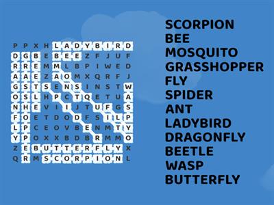 insects