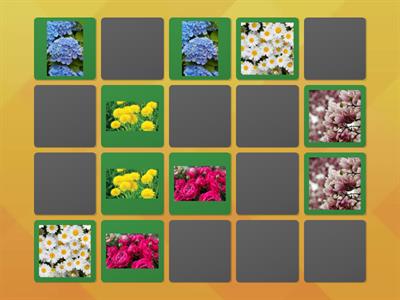 Гра на розвиток уваги і памяті.