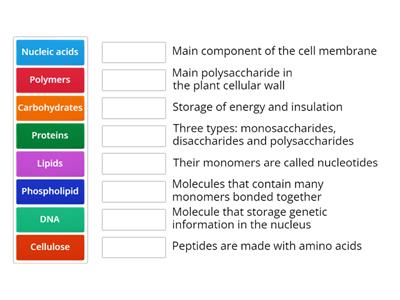 Carbon molecules