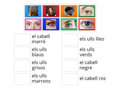 Caracteristiques