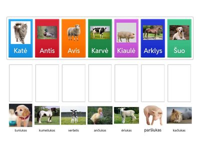 Surask gyvūnų jauniklius