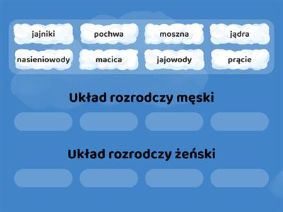 Układ rozrodczy