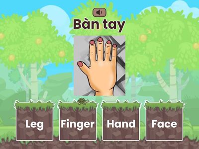 Quiz SGK Tiếng Anh Lớp 1 - Family and Friends - Unit 5: This is my nose!