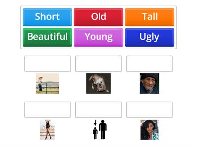 Physical Characteristics