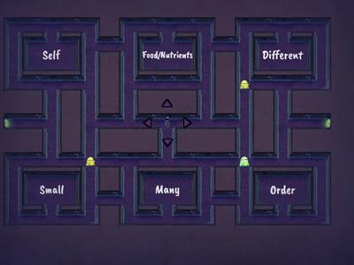 Classification Word Part and Vocab Review