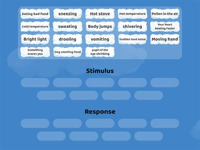 Stimulus/Response Group Sort