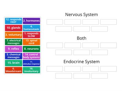  Nervous & Endocrine System