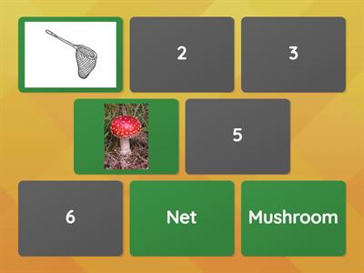 Elementary vocabulary