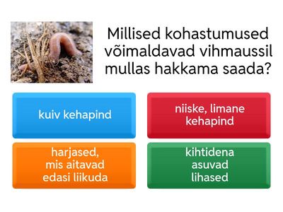 Kordamine tööks - MULD