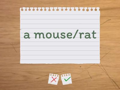 NN2 Unit 02 우리 동네