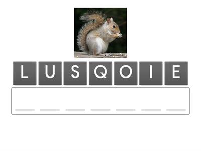  Palavras com C ou QU Catarina