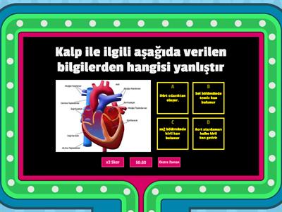 VÜCUDUMUZDAKİ SİSTEMLER 6.SINIF