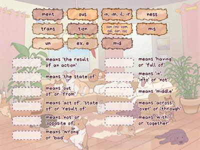 Morphology Retreiveal: Year 3 2024