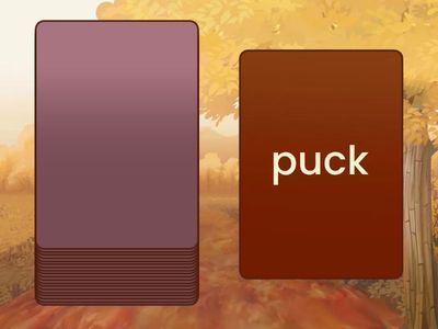 Sounding Out Race - cvcc, ccvc