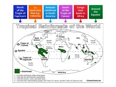 Where is the tropical rainforest biome?