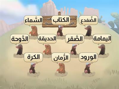 نشاط اللام الشمسية واللام القمرية