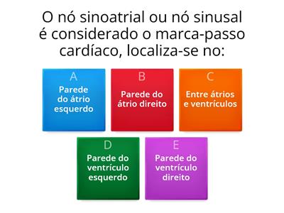 Revisão MedVet| Sistema Circulatório 