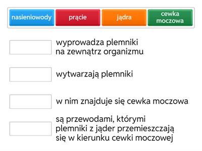 Funkcje narządów męskiego układu rozrodczego
