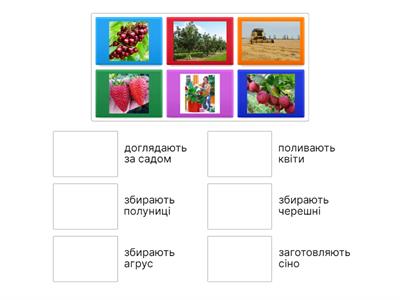 Праця влітку