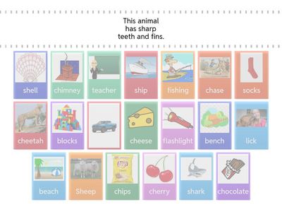 digraphs: ch/ sh / ck