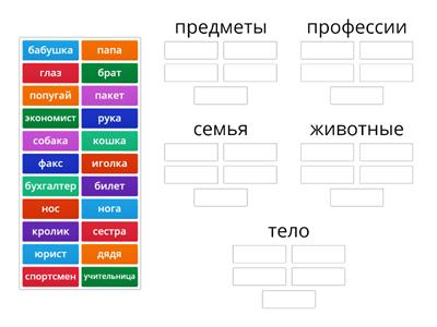  Разделите слова по категориям