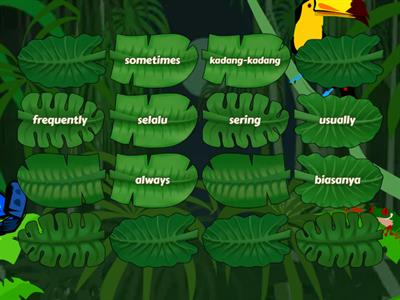 Adverbs of Frequency