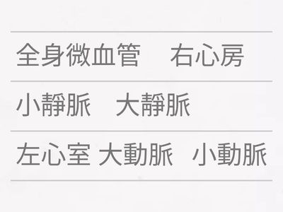 血液循環-體循環與肺循環