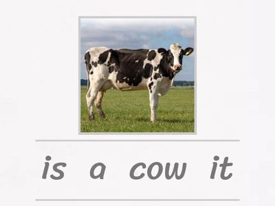 Start - unit 7 - cow