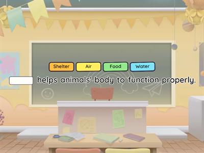 Science - Basic needs of animals