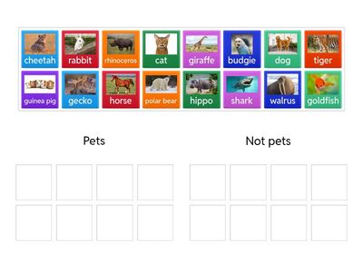 Good pet or not a good pet?