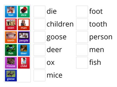 Irreg Plurals