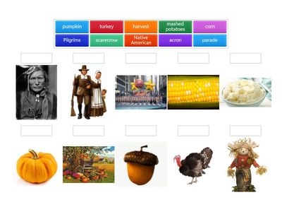 All you need to know about Thanksgiving_5