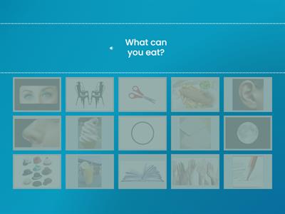  What Questions (pictures array FO15)