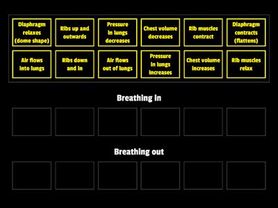 B3 Breathing