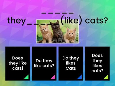 Present Simple grammar practice+-?