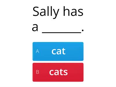  Singular and Plural nouns