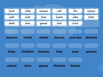 Irregular Plurals