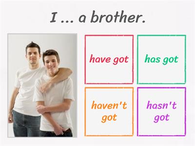 Have got/has got +, -, ? 